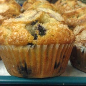 Half Dozen Blueberry Muffins